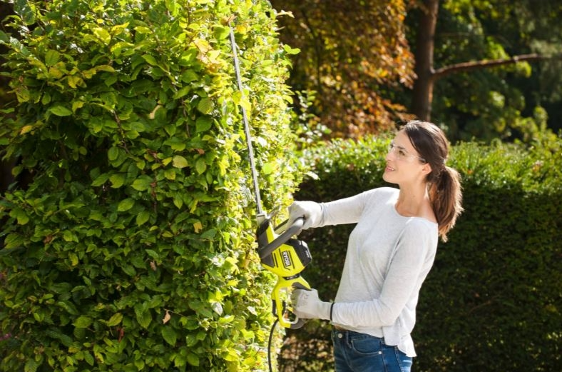 RYOBI Tagliasiepi elettrico telescopico 550W - immagine 2